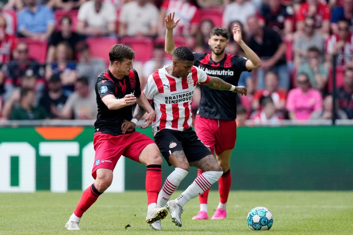 巨星风采 巨星风采